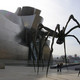 Zviad, 47