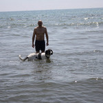 Viktor, 62