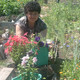 polina, 75