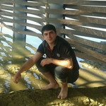 edik, 42